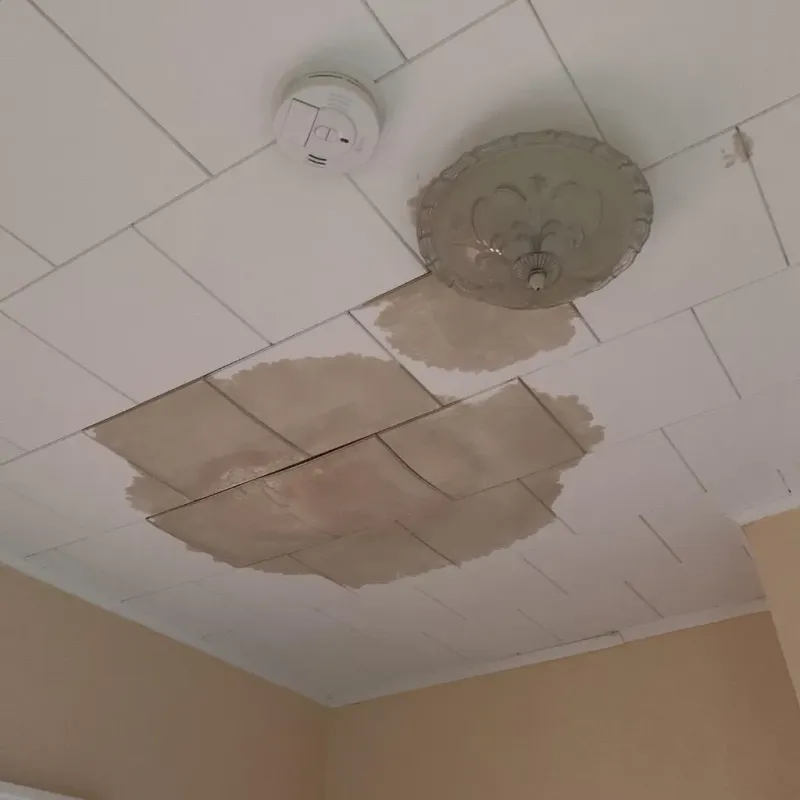 Ceiling Water Damage Repair in Knightdale, NC