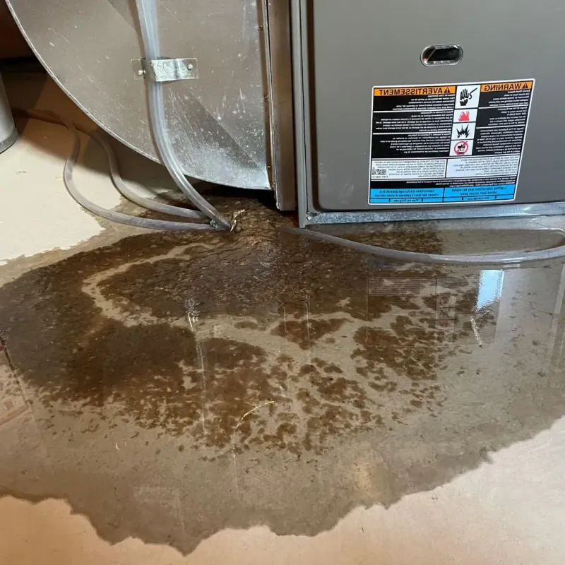 Pipe Burst and Leak Restoration in Knightdale, NC